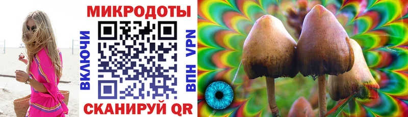 кракен наркота Урень Псилоцибиновые грибы прущие грибы