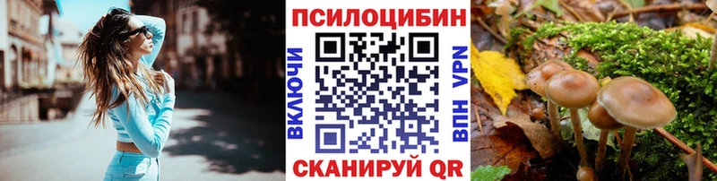 Псилоцибиновые грибы Cubensis Урень