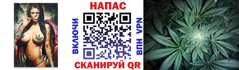 Бошки Шишки планчик  купить наркотик  Урень 